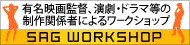 SAG WORKSHOP